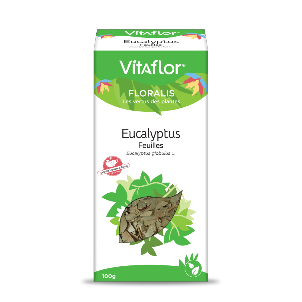 Eucalyptus -  Boite de 100gr - Plante en vrac (feuilles) Vitaflor - 1